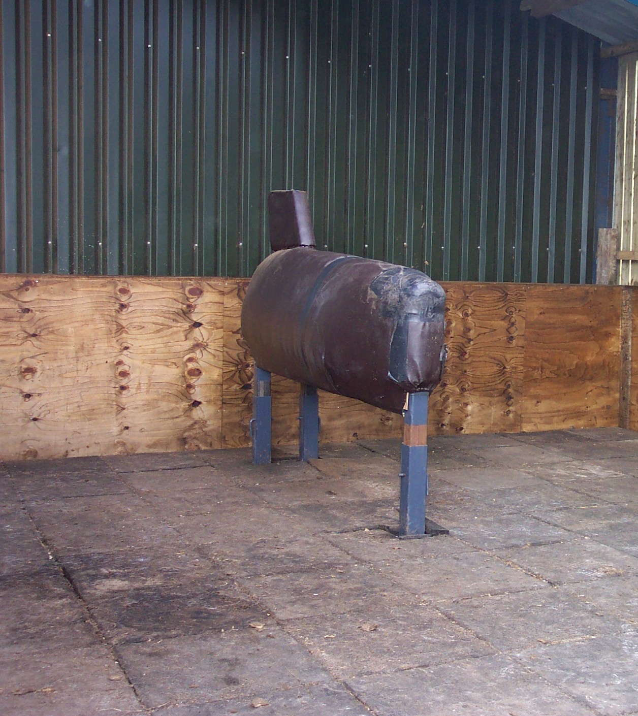 Country Farm Stud dummy mare