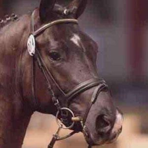 Sir Frederic